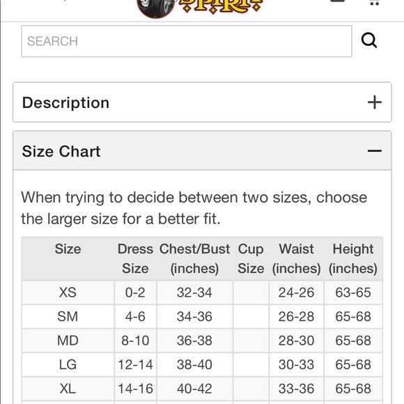 Hocus Pocus Sarah Sanderson Costume - Picture 4 of 4